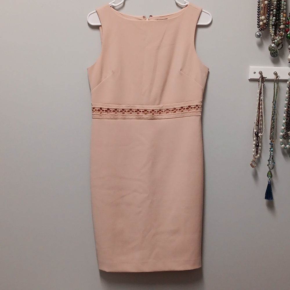 Ann Taylor Pink Sleeveless Sheath Dress, Size 4P